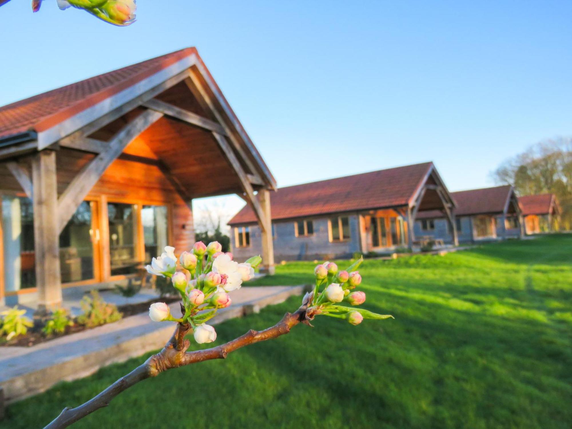 Appartement Hay's Wood Retreat - North Runcton