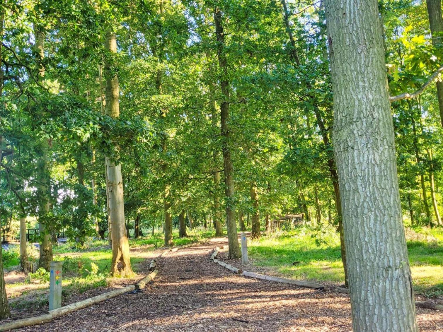 Hay's Wood Retreat - Appartement