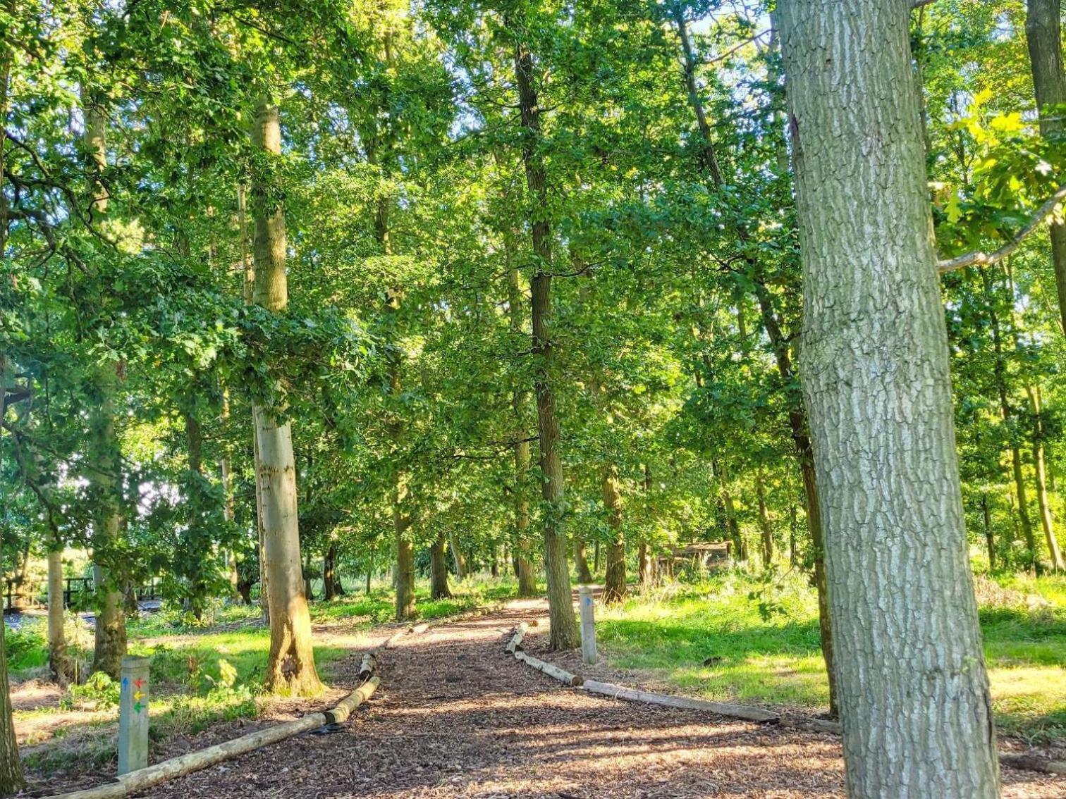 Hay's Wood Retreat -