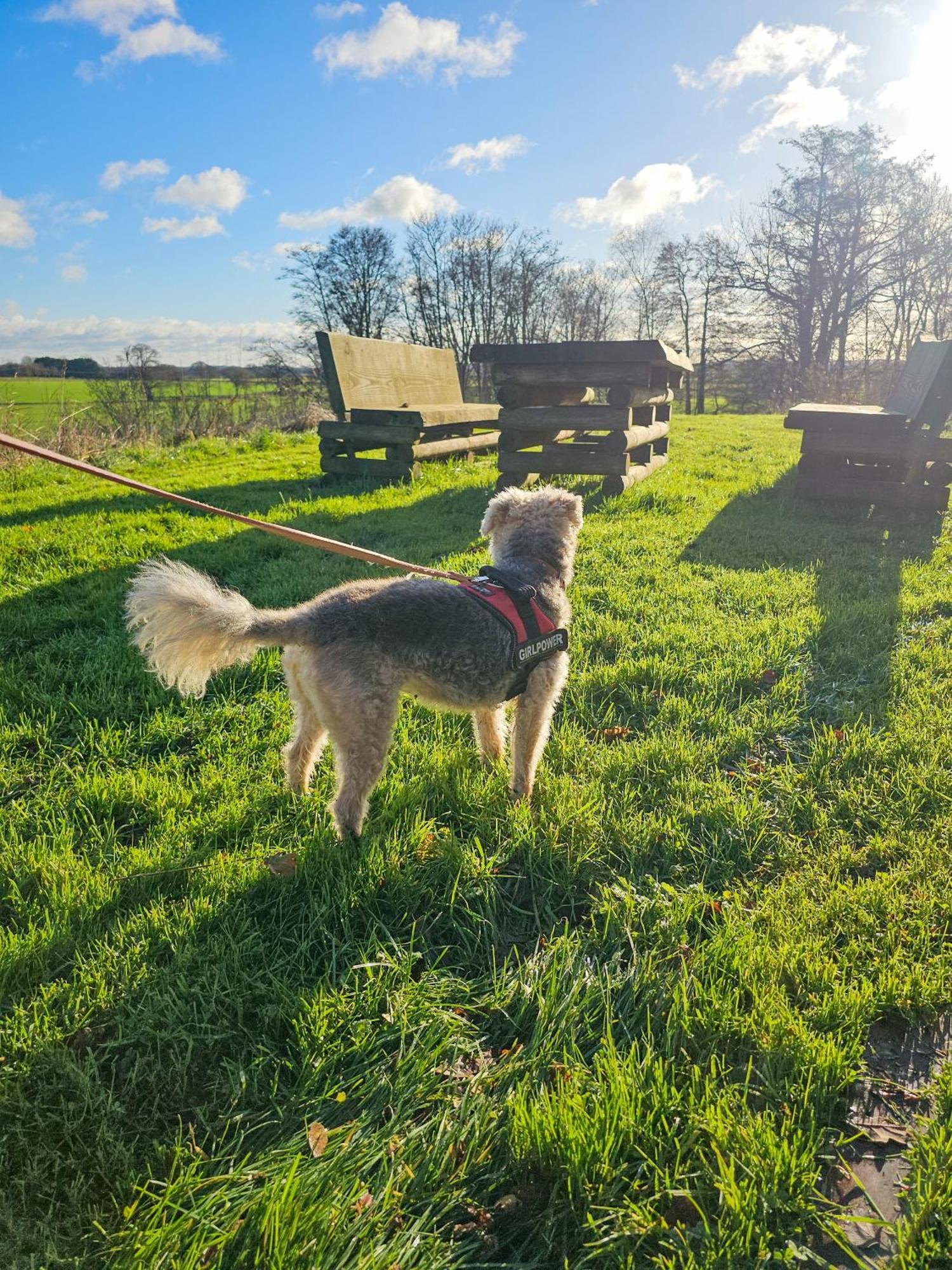 Hay's Wood Retreat -
